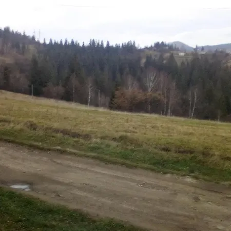 на гірському схилі *